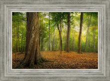 Load image into Gallery viewer, Oh How Lovely was the Morning
