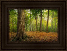 Load image into Gallery viewer, Oh How Lovely was the Morning

