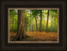 Load image into Gallery viewer, Oh How Lovely was the Morning
