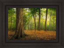 Load image into Gallery viewer, Oh How Lovely was the Morning
