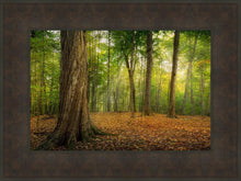 Load image into Gallery viewer, Oh How Lovely was the Morning
