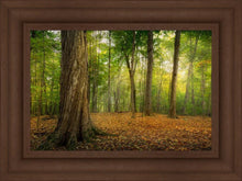 Load image into Gallery viewer, Oh How Lovely was the Morning
