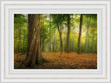 Load image into Gallery viewer, Oh How Lovely was the Morning
