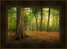 Load image into Gallery viewer, Oh How Lovely was the Morning

