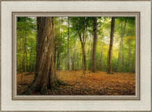 Load image into Gallery viewer, Oh How Lovely was the Morning
