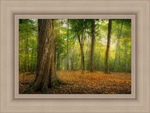 Load image into Gallery viewer, Oh How Lovely was the Morning
