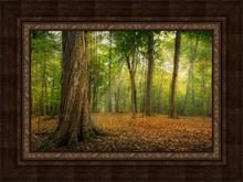 Load image into Gallery viewer, Oh How Lovely was the Morning
