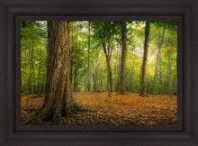 Load image into Gallery viewer, Oh How Lovely was the Morning
