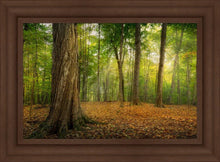 Load image into Gallery viewer, Oh How Lovely was the Morning

