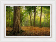 Load image into Gallery viewer, Oh How Lovely was the Morning
