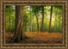 Load image into Gallery viewer, Oh How Lovely was the Morning
