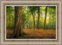 Load image into Gallery viewer, Oh How Lovely was the Morning
