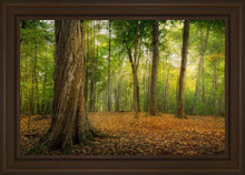 Load image into Gallery viewer, Oh How Lovely was the Morning
