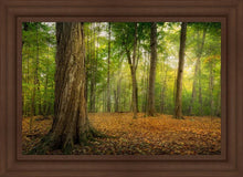 Load image into Gallery viewer, Oh How Lovely was the Morning

