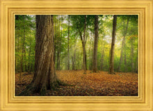 Load image into Gallery viewer, Oh How Lovely was the Morning

