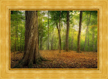 Load image into Gallery viewer, Oh How Lovely was the Morning
