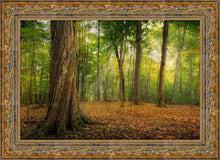 Load image into Gallery viewer, Oh How Lovely was the Morning
