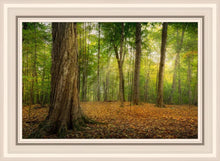 Load image into Gallery viewer, Oh How Lovely was the Morning
