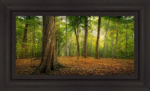 Load image into Gallery viewer, Oh How Lovely was the Morning
