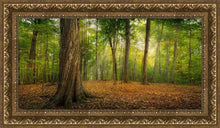 Load image into Gallery viewer, Oh How Lovely was the Morning

