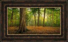 Load image into Gallery viewer, Oh How Lovely was the Morning
