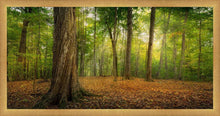 Load image into Gallery viewer, Oh How Lovely was the Morning
