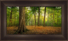 Load image into Gallery viewer, Oh How Lovely was the Morning
