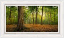 Load image into Gallery viewer, Oh How Lovely was the Morning
