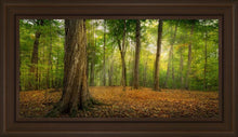 Load image into Gallery viewer, Oh How Lovely was the Morning
