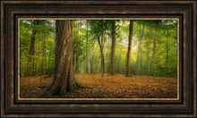 Load image into Gallery viewer, Oh How Lovely was the Morning
