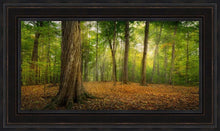 Load image into Gallery viewer, Oh How Lovely was the Morning
