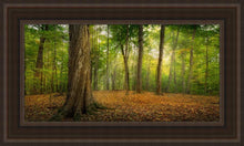 Load image into Gallery viewer, Oh How Lovely was the Morning
