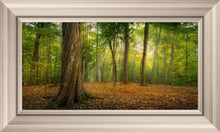 Load image into Gallery viewer, Oh How Lovely was the Morning
