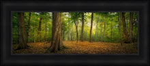 Load image into Gallery viewer, Oh How Lovely was the Morning
