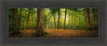 Load image into Gallery viewer, Oh How Lovely was the Morning
