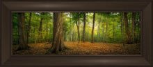 Load image into Gallery viewer, Oh How Lovely was the Morning
