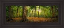 Load image into Gallery viewer, Oh How Lovely was the Morning

