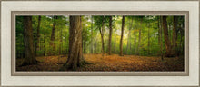 Load image into Gallery viewer, Oh How Lovely was the Morning
