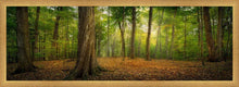 Load image into Gallery viewer, Oh How Lovely was the Morning

