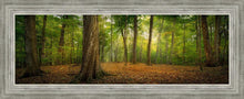 Load image into Gallery viewer, Oh How Lovely was the Morning
