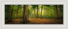 Load image into Gallery viewer, Oh How Lovely was the Morning

