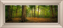 Load image into Gallery viewer, Oh How Lovely was the Morning
