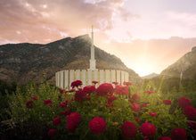 Load image into Gallery viewer, Provo Second Coming
