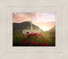 Load image into Gallery viewer, Provo Second Coming
