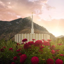 Load image into Gallery viewer, Provo Second Coming
