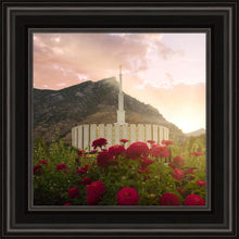 Load image into Gallery viewer, Provo Second Coming

