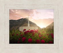 Load image into Gallery viewer, Provo Second Coming
