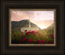 Load image into Gallery viewer, Provo Second Coming
