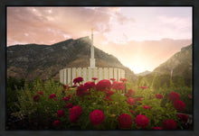 Load image into Gallery viewer, Provo Second Coming
