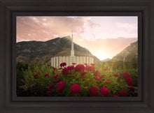Load image into Gallery viewer, Provo Second Coming
